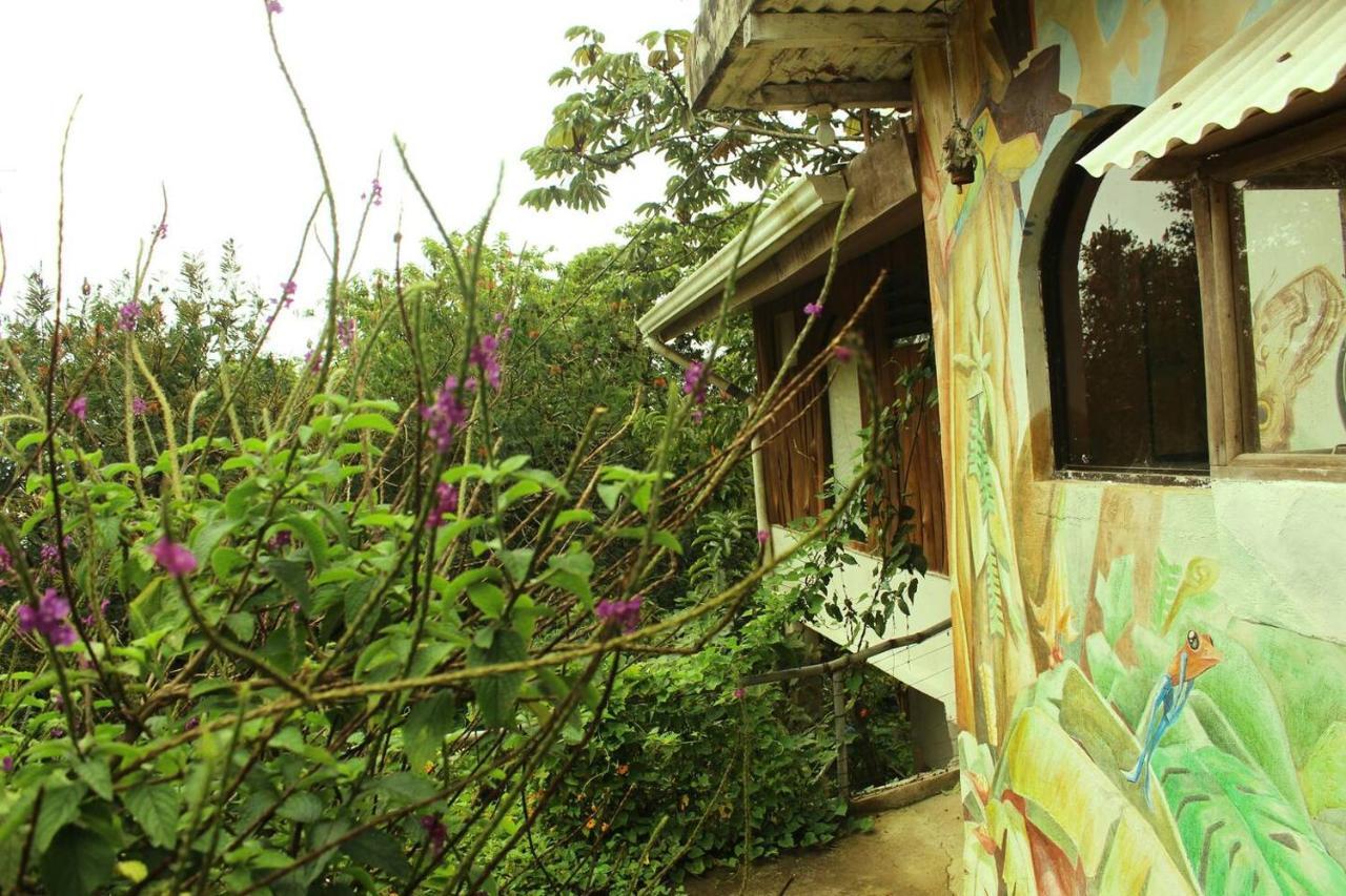 Casa Alquimia Hotel Monteverde Exterior photo